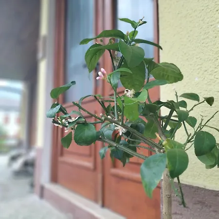 Ai Quattro Nidi - Appartement Mis