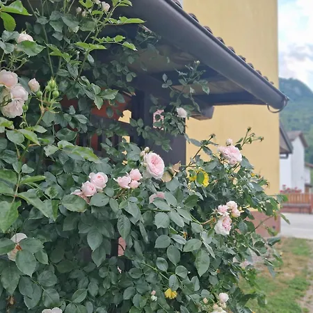 Appartement Ai Quattro Nidi - *
